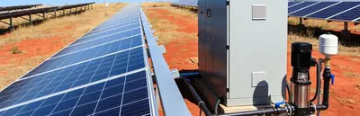 Solar pumping system with photovoltaic panels and pump controls